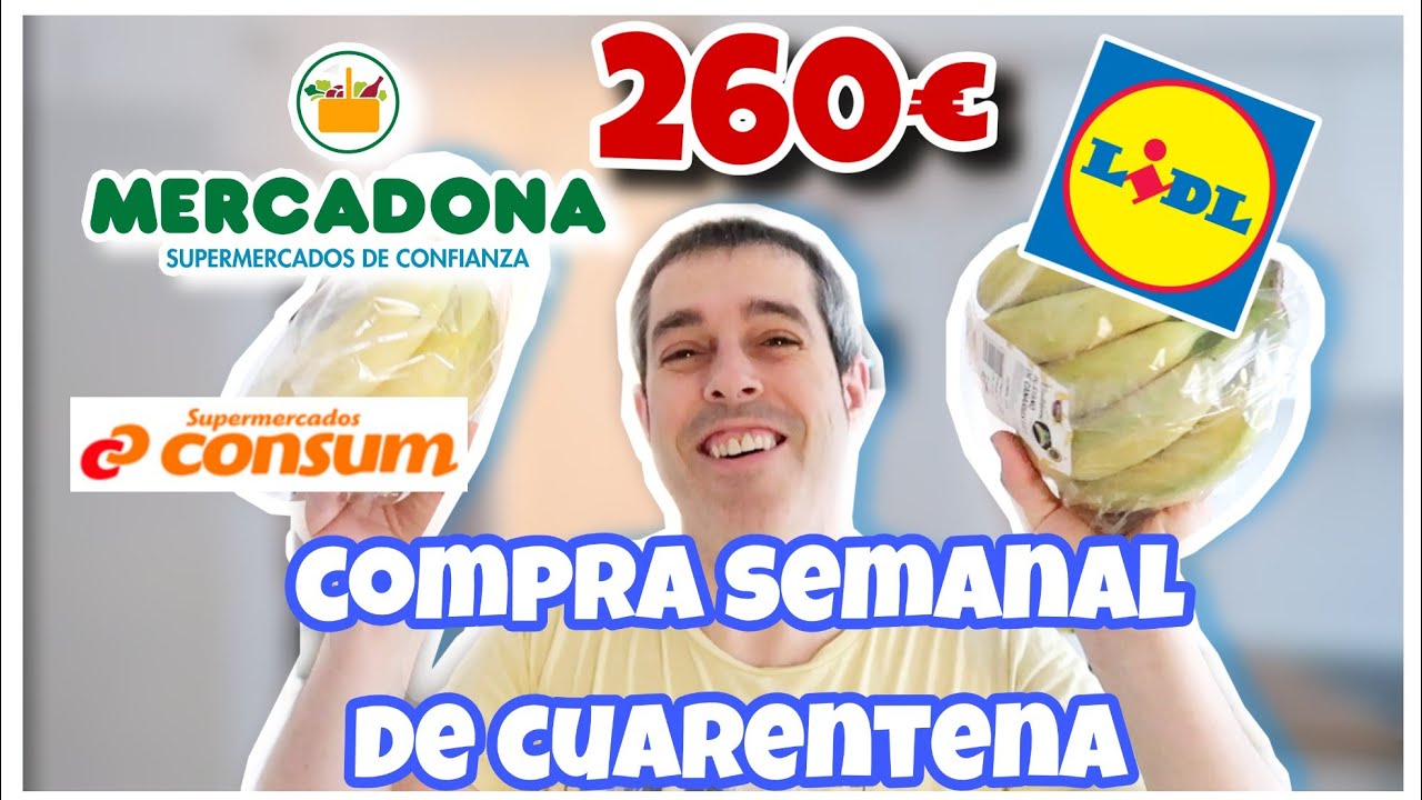 COMPRA SEMANAL en CUARENTENA. Mercadona, Lidl, Consum 260 € 😱