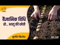 Krishi Vishesh: वैज्ञानिक तरीके से आलू खेती 🌱