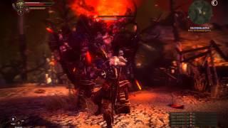 Witcher 2 Draug Boss Fight Tips No Potions