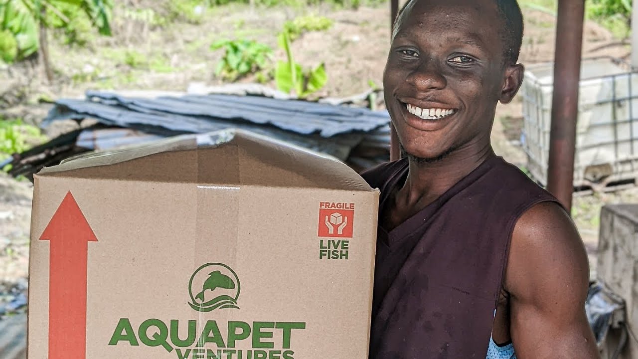 "New Year, New Goals: Transforming Nigeria's Aquaculture Industry in 2025". 