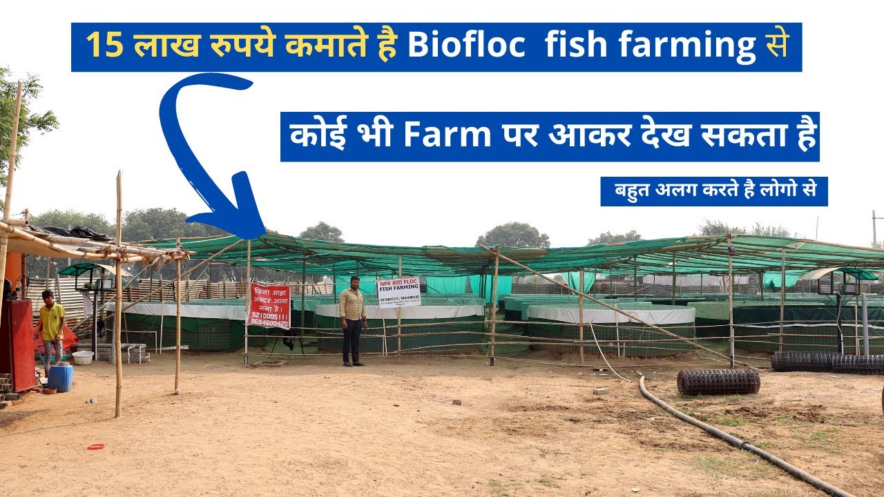 Biofloc fish farming, How to start biofloc fish farming Net profit in ...