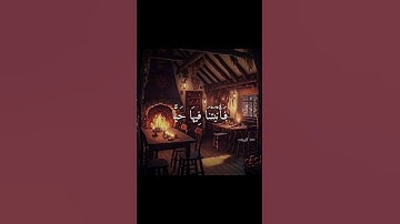 ( فَلْيَنظُرِ الْإِنسَانُ إلى طَعَامِهِ ) القارئ : أنس الميمان ♥️🍃