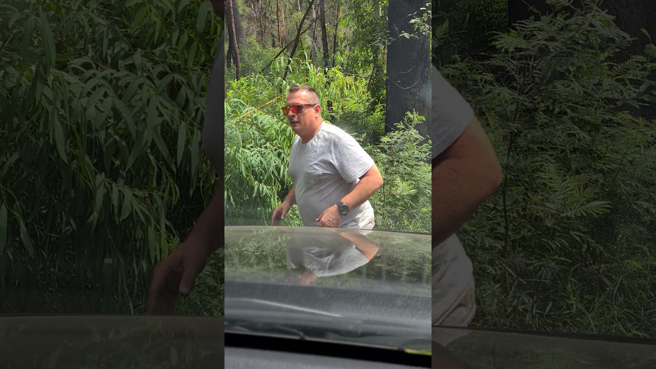 Yalwal Wombat Flats trail ..the end of the road