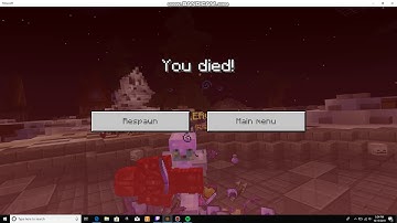 Fly Hacker Cought For the views enjoy !