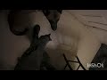 Belgian Malinois military training play with K-9