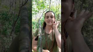 "Sensory Scavenger Hunt", with Tamara Fournier, Forest Therapy Guide