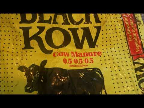 Video: Hoe gebruik jy Black Kow-mis?