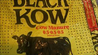 BLACK KOW Cow Manure, Miracle Grow Potting soil or PRO MIX. Which Seed Starter Will be the Best?