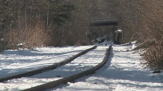 Pedestrian fatally struck by Amtrak train in Biddeford