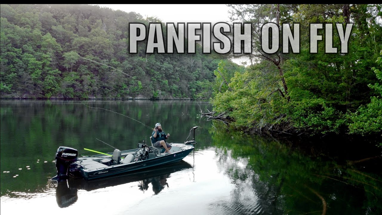Fly Fishing The Spawn For Panfish