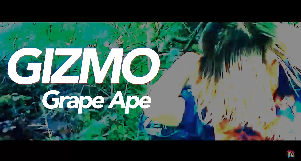 Watch Gizmo - Grape Ape (Dir. by @icecastleunderground ) on YouTube Watch Gizmo - Grape Ape (Dir. by @icecastleunderground ) on YouTube