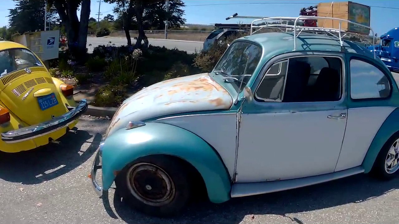 Hamo Cruz and Bus Junkies Beer and Buses BBQ - Santa Cruz California