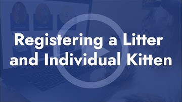 Registering a Litter and Individual Kitten