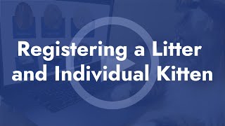Registering a Litter and Individual Kitten