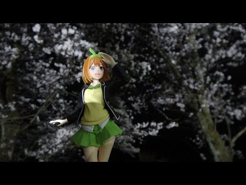 新作アニメ『五等分の花嫁∽』制作決定！エイプリルフールじゃなかった！　中野四葉＆ふーちゃんと　悠久山、桜満開　新潟県長岡市