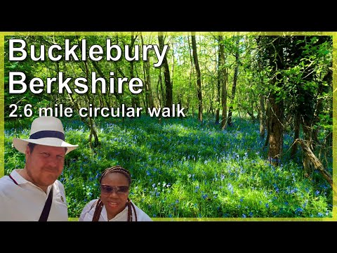 Berkshire 2.6 mile circular walk: Bucklebury