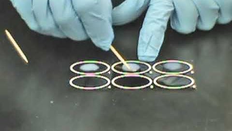 CRP Latex Agglutination
