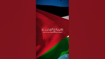 سورة الروم بصوت ياسر الدوسري #القرآن_الكريم