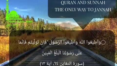 #daily_quran_verse | (At-Taghabun 64: Verse 12) | (سورة التغابن ٦٤، اية ١٢)