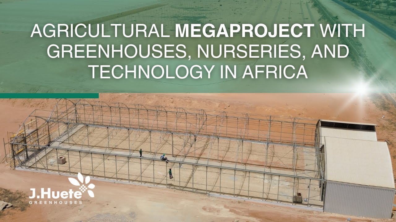 Still from Agricultural megaproject with greenhouses, seedbeds, and technology in Africa