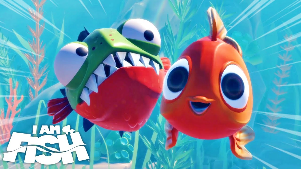 PIRANHÃO Saiu Mastigando Tudo Em Busca Do Baiacu I´m a Fish