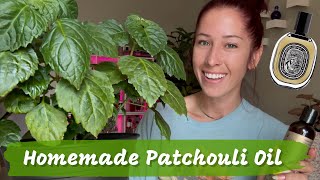 LEARNING HOW TO MAKE HOMEMADE PATCHOULI OIL! #patchouli #homemadeoil #perfumeoils Information