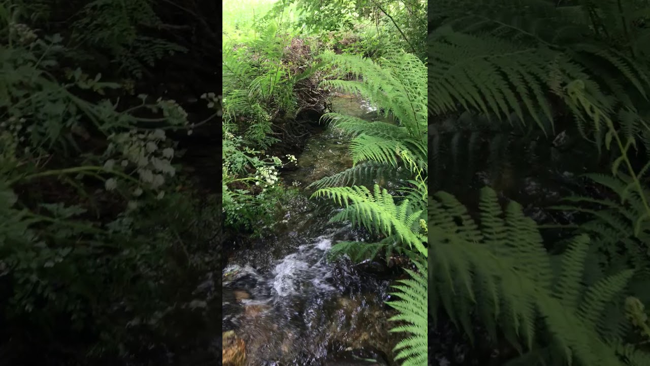Reguero Tejeira - Nacimiento Río Andayón. Llanera (Asturias)