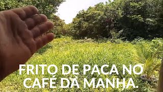 EMOÇÕES NA SELVA, CAÇA À PACA