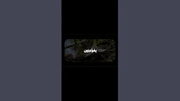 Surah Muminun 23 38 40 Sheikh Muhammad Minshawi Muslimcontent Quran Muslim Islam Recitation 