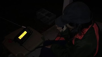 KM4IPF/QRP Checking Into the Early Bird Net With an Elecraft KX3 and RadioWavz Pathfinder QRP EFLW