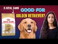 Royal canin golden retriever adult review