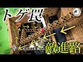 拠点防衛時、トゲ罠が絶対に当たるように配置できちゃうじゃん？【ドラゴンクエストビルダーズ】実況