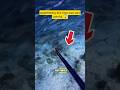difficult spearfishing‼️😱#shortvideos #americafish
