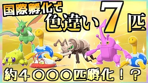 国際孵化で色違いが出ない時に見る動画 ポケモン剣盾 Mp3