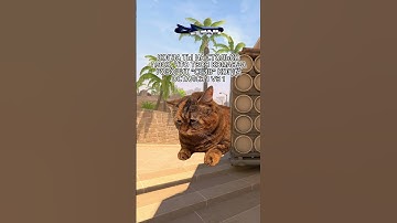 Это конечная ребят 😭 #cs2 #cs2funny #cs2clips #cs2moments #cs2memes #кс2 #кс2мемы #кс2приколы #csgo