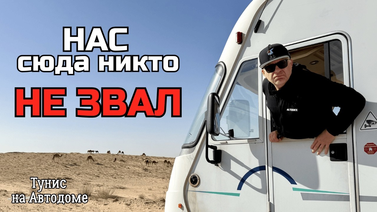 Мы просто хотели посмотреть | Африка Тунис