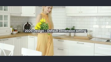 2020 design  Default Dimension setting
