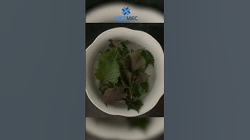 Phương pháp trị dứt bệnh Gút nhanh chóng, hiệu quả tại nhà #gout #learnontiktok #kienthuc