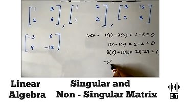 Linear Algebra | Singular and Non singular Matrix