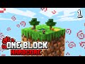 Minecraft Skyblock, but you only get ONE BLOCK.. (hardcore) #1