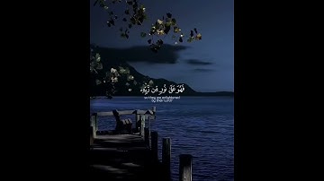 اكتب شيء تؤجر عليه 😴💚 قران كريم | محمد اللحيدان