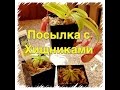 посылка с Хищниками