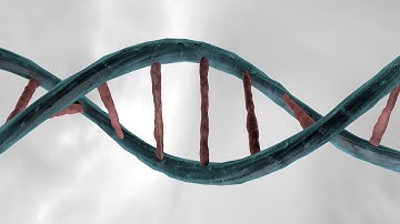 Cinema 4d Tutorial - How to Make a  DNA Double Helix in Cinema 4D