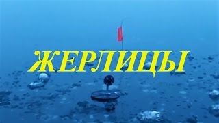 Щука подо льдом. Ловля щуки на жерлицы(Всем привет. Мое краткое видео про ловлю щуки на зимние жерлицы я нашел в своих старых архивах. Решил опубли..., 2016-11-09T19:24:21.000Z)