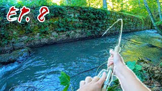 Searching for Big Brown Trout (Creek fishing) || STREAMER FISHING EP. 8