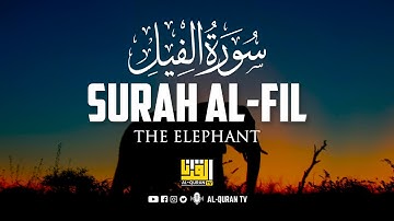 Surah Al-Fil سورة الفيل | Ahmed Al-Shalabi (أحمد الشلبي) | Al Quran TV