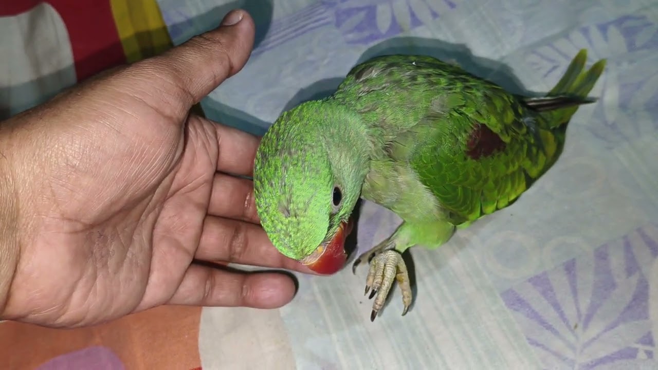 Rambo ke sath aur mere sath ek kaand ho gya