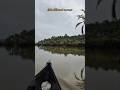 fishing 🎣#youtubeshorts #shorts #fishing #fish #fishinglife #village #shortvideo #rainyday #rain