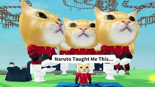 After Stronk Cat Learnt Clone Jutsu... (Roblox Cart Ride Admin Funny Moments)