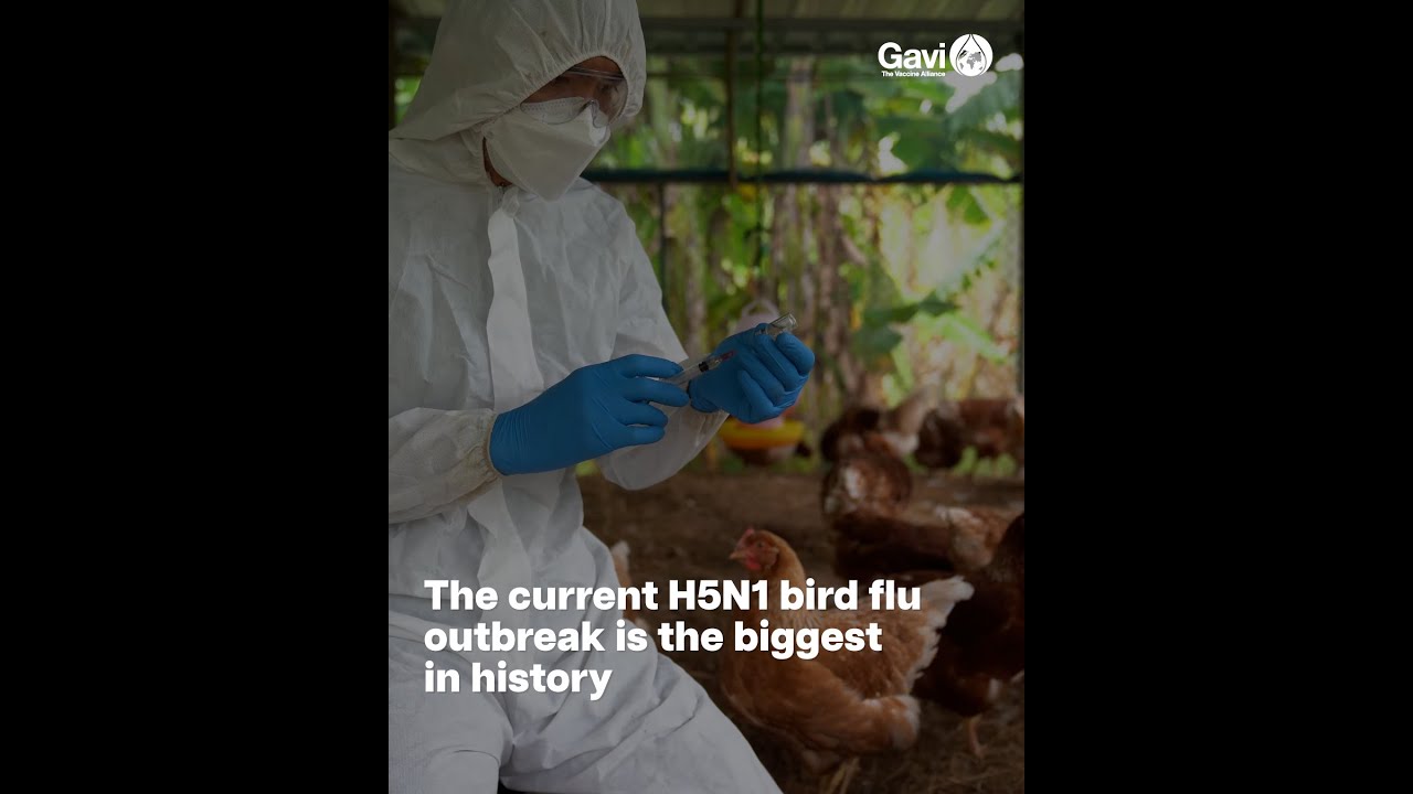 Five things you need to know about the H5N1 bird flu outbreak - YouTube